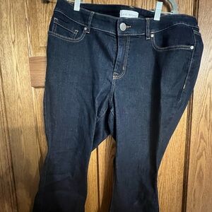 Size 14 Lane Bryant carpis